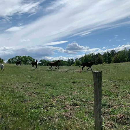 Apartamento Altes Pfarrhaus In Plau Am Plau am See