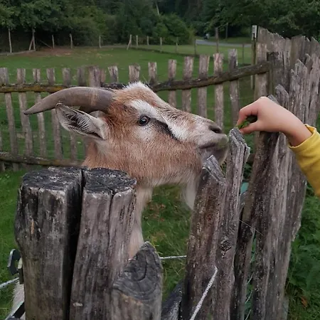 Altes Pfarrhaus In Plau Am Plau am See