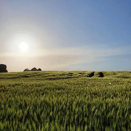 Altes Pfarrhaus In Plau Am Appartement Plau am See