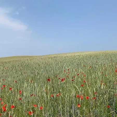 Appartement Altes Pfarrhaus In Plau Am *