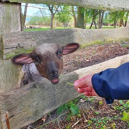 Altes Pfarrhaus In Plau Am * Plau am See